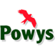 Powys County Council logo