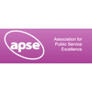 Logo for job Director APSE Synergy