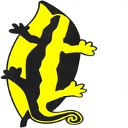 Out of school playworker